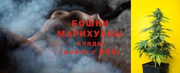 эйфоретик Гусев