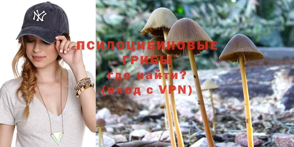 дмт Алзамай